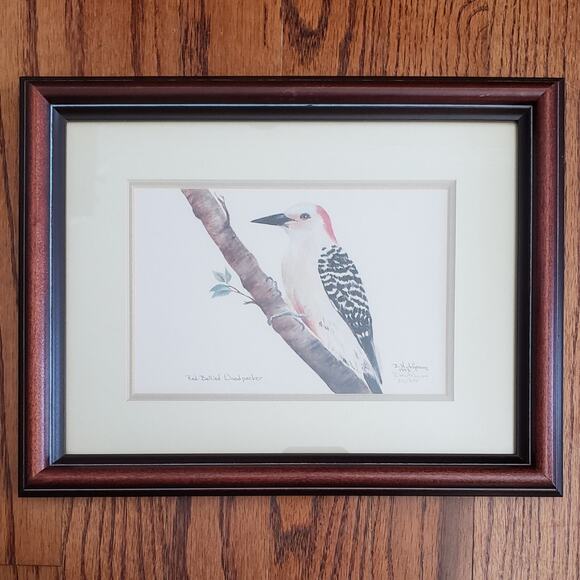 B Hutcheson RED BELLIED WOODPECKER Bird Art Signed Numbered Framed 11.5" x 9.5" - Picture 1 of 6
